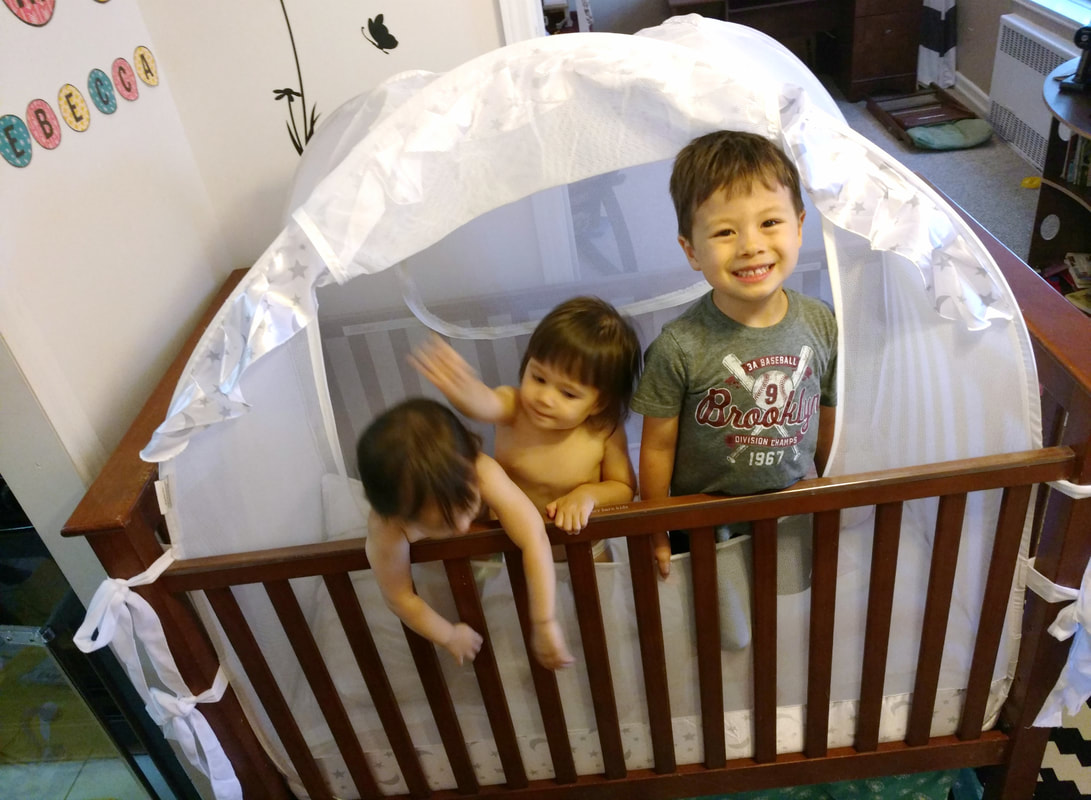 mini crib tent